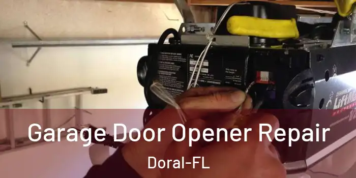  Garage Door Opener Repair Doral-FL